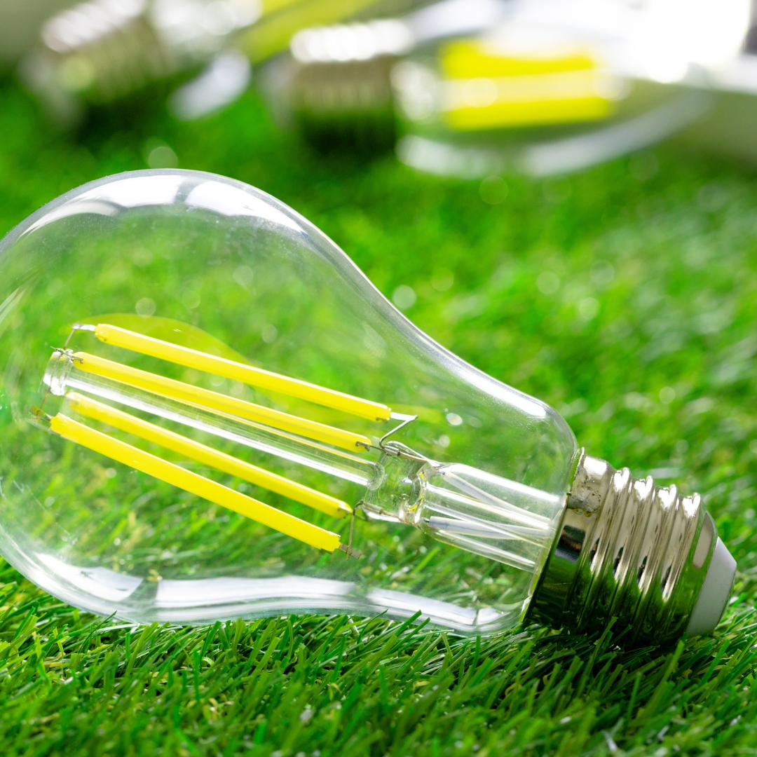 Image of an energy efficient bulb